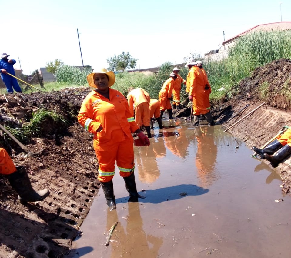 Cleaning & Greening in Sedibeng