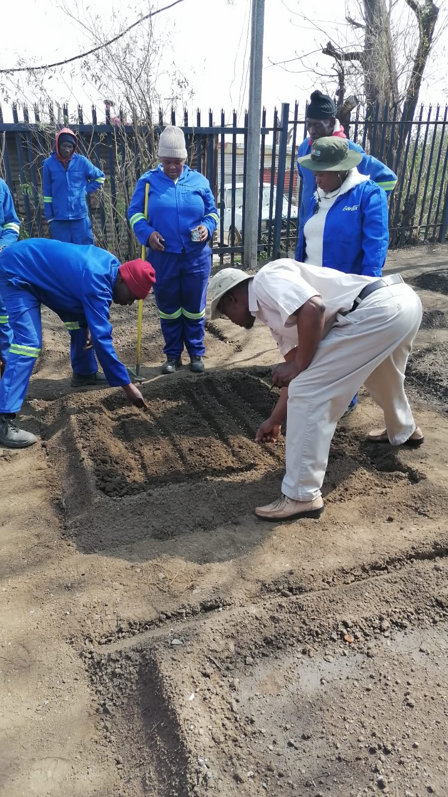 Cleaning & Greening in Sedibeng